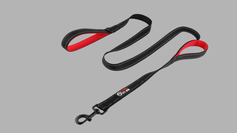 A black and red leash lays on a gray background